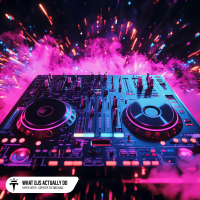 What DJs Actually Do (Single)