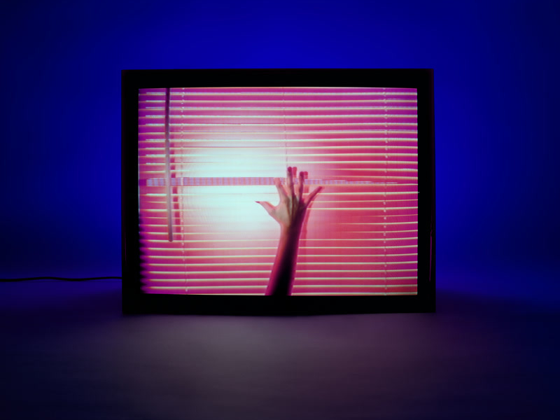 Screen Violence: Director’s Cut