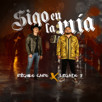 Sigo en la mía (Single)