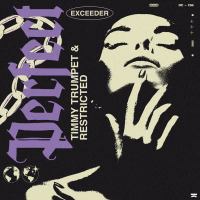 Perfect (Exceeder) (Single)