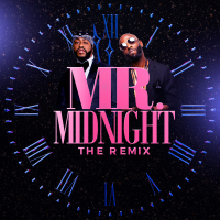 Mr. Midnight (Winter Time Remix) (Single)