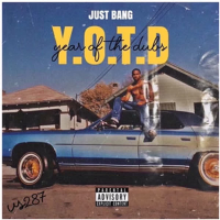 Year of the Dubs: Volume 1