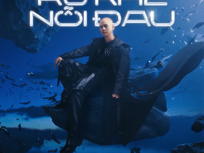 Ru Khẽ Nỗi Đau (Single)