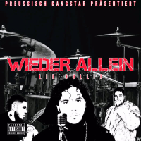Wieder allein (Single)