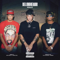 Delinquendo RMX (Single)