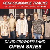 Open Skies (Performance Tracks) (Single)