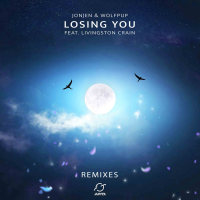 Losing You (feat. Livingston Crain) (Remixes) (EP)