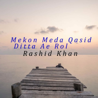 Mekon Meda Qasid Ditta Ae Rol (Single)