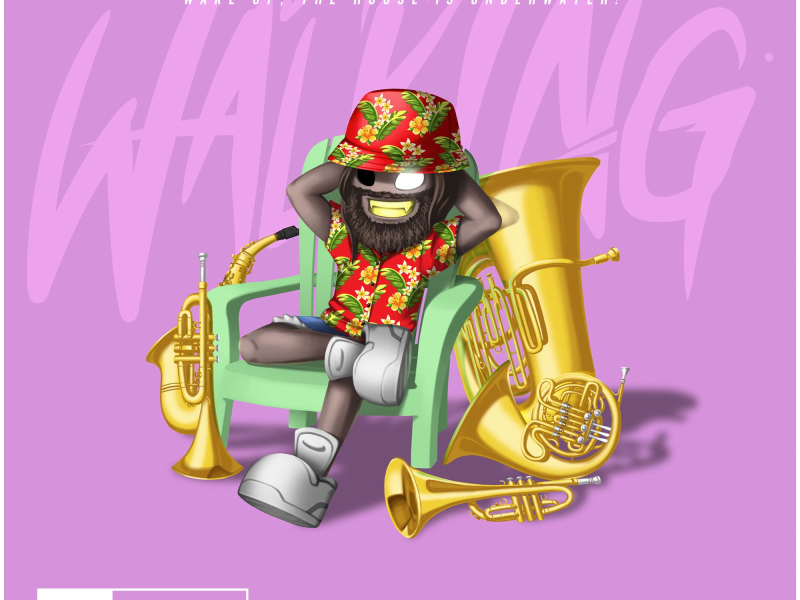 Wake up, The House Is Underwater! (Single)