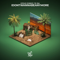 Idontwannabeanymore (Single)