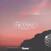 Meaning (Single)