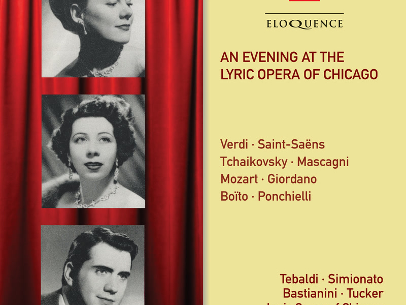 An Evening At The Lyric Opera Of Chicago