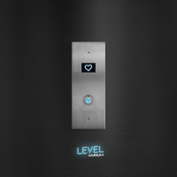 Level (Single)