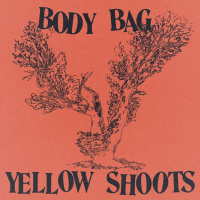 BODY BAG (Single)