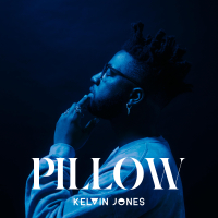 Pillow (Single)