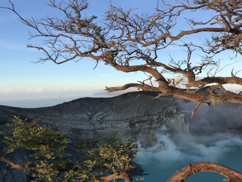 我的痛你最懂 (Single)