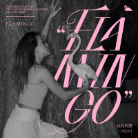 Flamingo (Single)