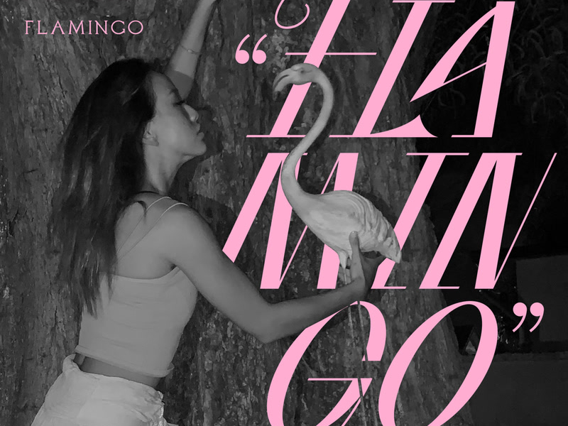 Flamingo (Single)