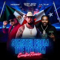 Started From The Bottom (Cumbia Remix) (Single)