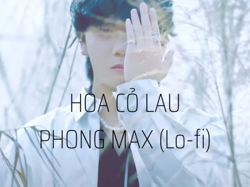 Hoa Cỏ Lau (Lo-Fi Version) (Single)