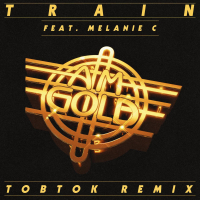 AM Gold (Tobtok Remix) (Single)