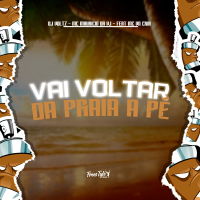 Vai Voltar Da Praia A Pé (Single)