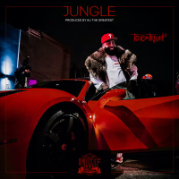 Jungle (Single)