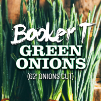 Green Onions (62’ Onions Cut) (Single)