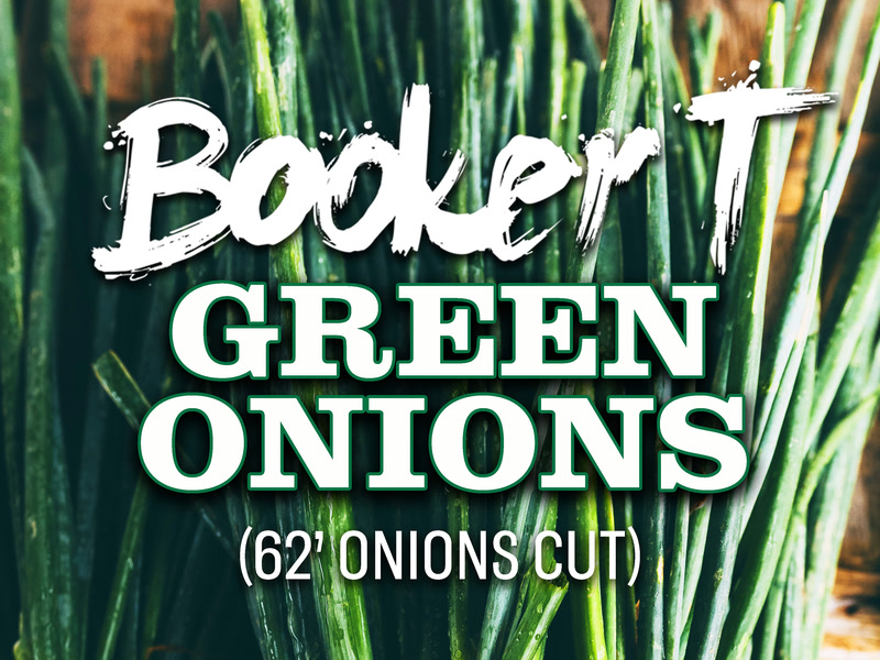 Green Onions (62’ Onions Cut) (Single)