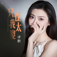 只怪我太傻 (Single)