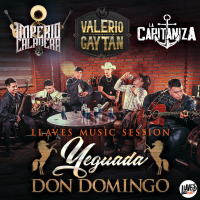 Llaves Music Session Yeguada Don Domingo (EP)