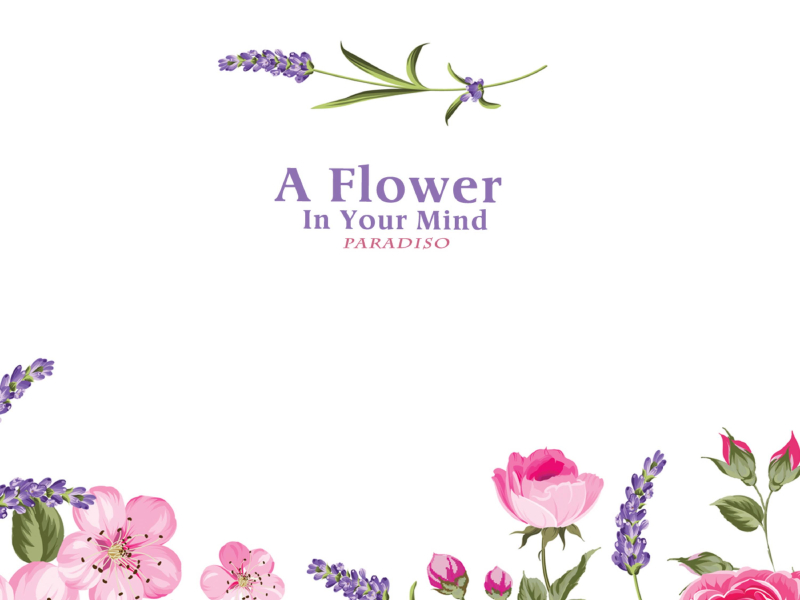 A Flower In Your Mind (Single)