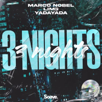 3 Nights (Single)