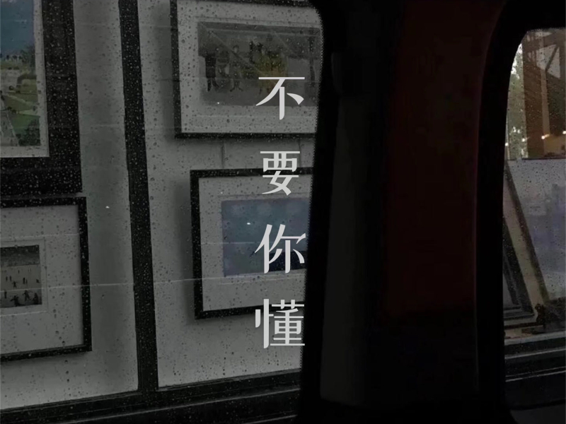 不要你懂 (Single)