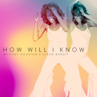 How Will I Know (Single)