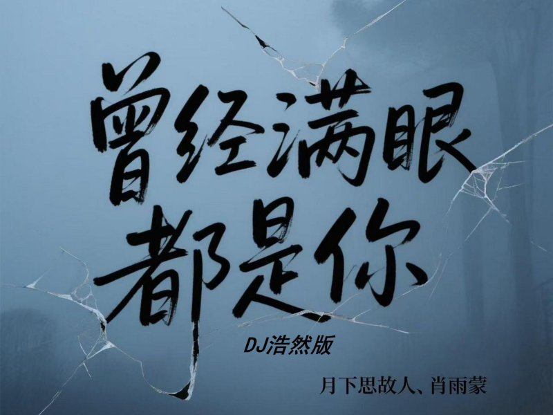 曾经满眼都是你 (Dj浩然版) (Single)