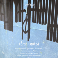 Tårer I Stilhed (Single)