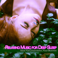 Relaxing Music for Deep Sleep: Music For Concentration, Yoga, Meditation (Single)