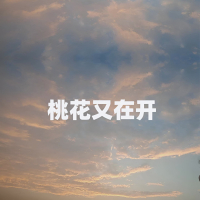 桃花又在开 (Single)