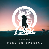 Feel So Special (Single)