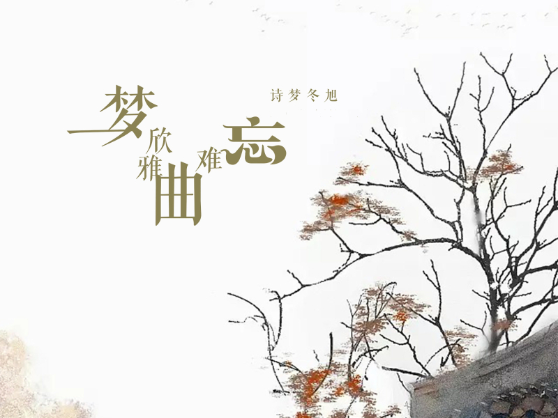 一梦欣雅曲难忘 (Single)