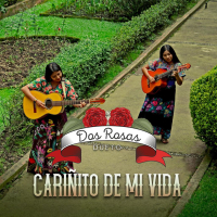 Carinĩto de Mi Vida (Single)