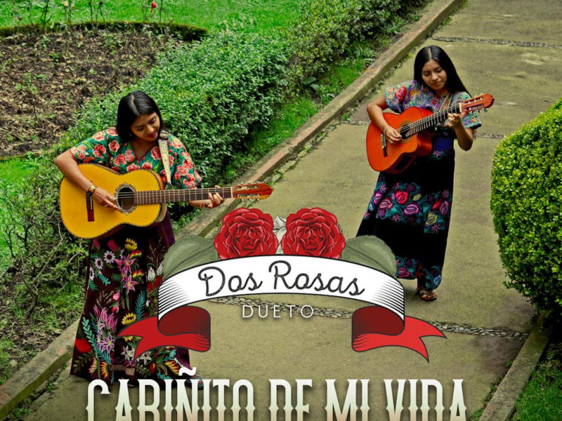 Carinĩto de Mi Vida (Single)