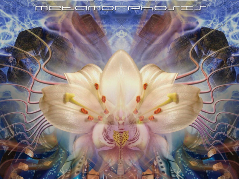 Metamorphosis (Vinyl) (EP)