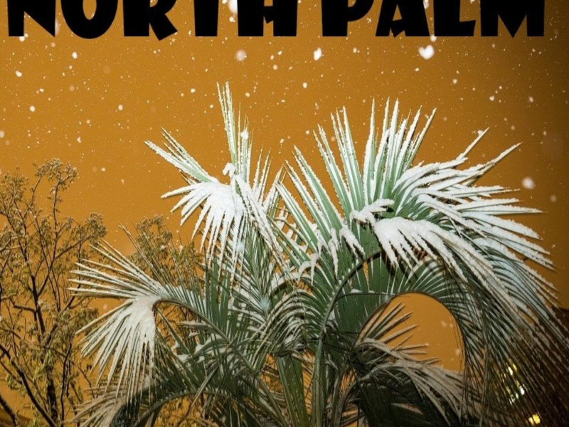 North Palm (Single)