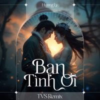 Bạn Tình Ơi (TVS Remix) (Single)