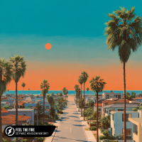 Feel The Fire (Single)