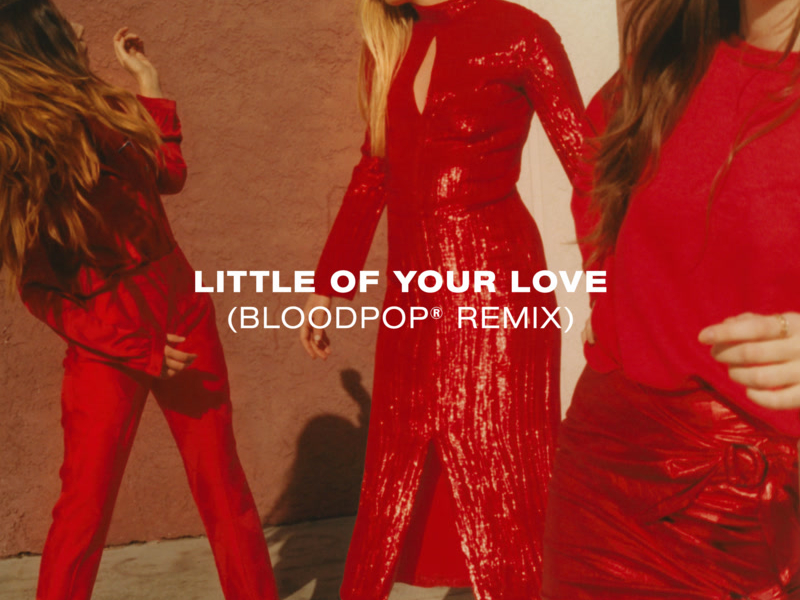 Little Of Your Love (BloodPop® Remix) (Single)