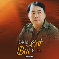 Đời Là Cát Bụi Là Ta (Single)