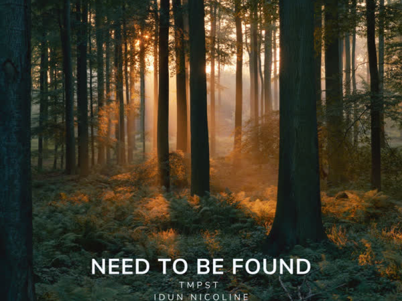 Need To Be Found (Single)